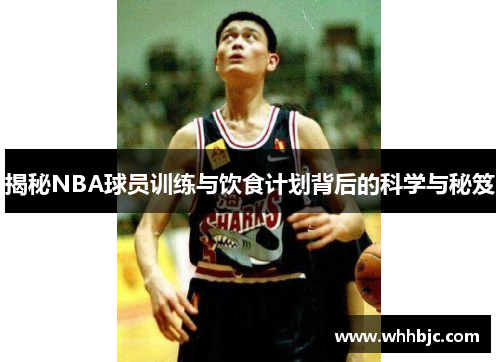 揭秘NBA球员训练与饮食计划背后的科学与秘笈